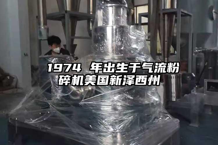  1974 年出生于小蝌蚪视频成年APP美国新泽西州