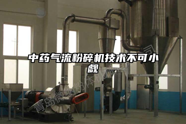 中药小蝌蚪视频成年APP技术不可小觑