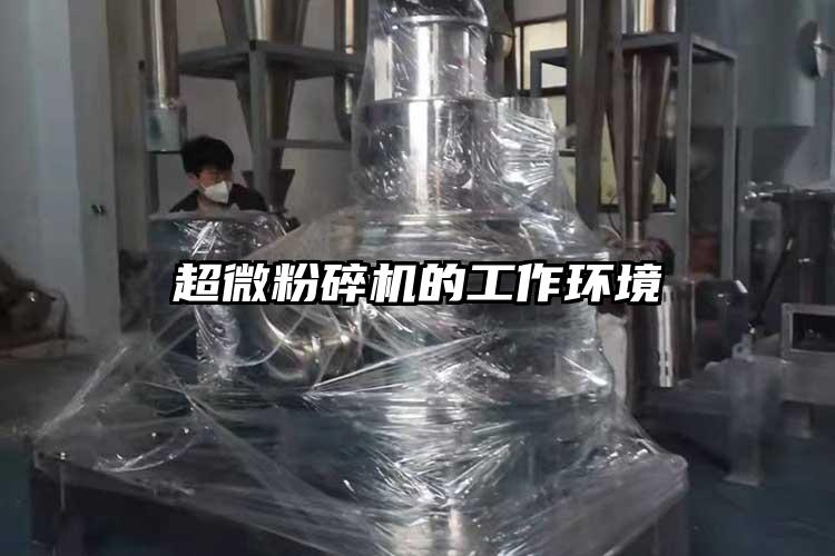 小蝌蚪视频黄污的工作环境
