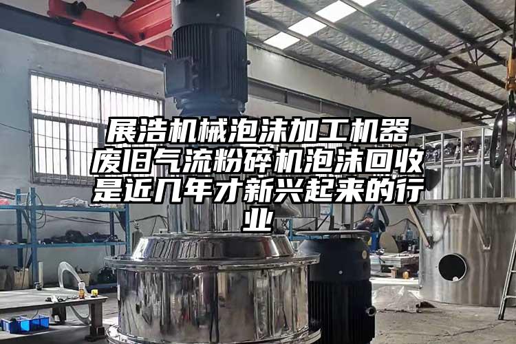  展浩机械泡沫加工机器 废旧小蝌蚪视频成年APP泡沫回收是近几年才新兴起来的行业