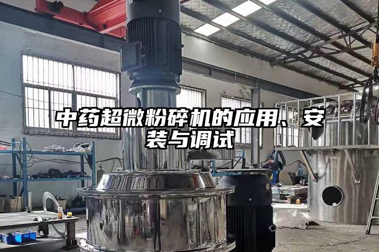 中药小蝌蚪视频黄污的应用、安装与调试