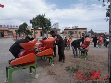 驻村工作队带领哈图村小蝌蚪视频黄污村民走向致富路的心更加坚定