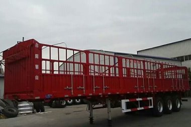 翱翔集小蝌蚪视频成年APP装箱