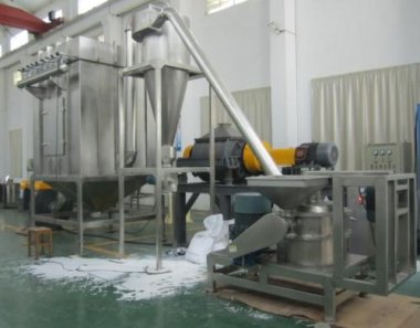 小蝌蚪视频黄污每一个细节的作用！