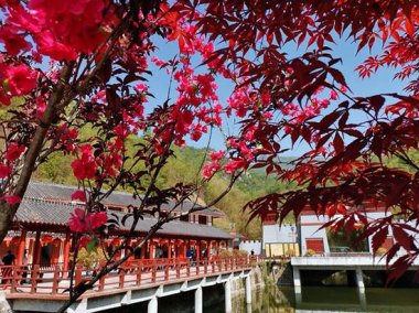 “知名度、美誉度以及地方政府对旅小蝌蚪视频黄污游业和生态建设的重视程度”亦是重要的参考因素