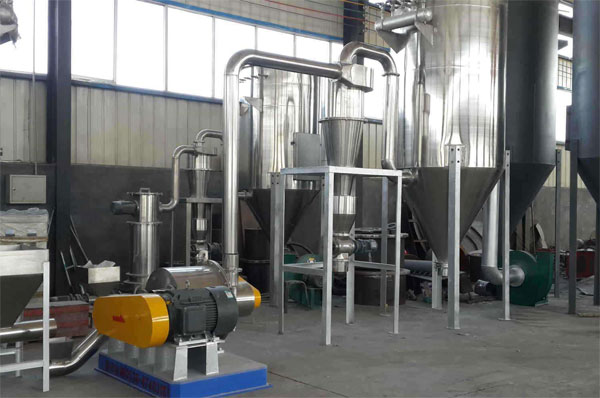 小蝌蚪视频黄污价格